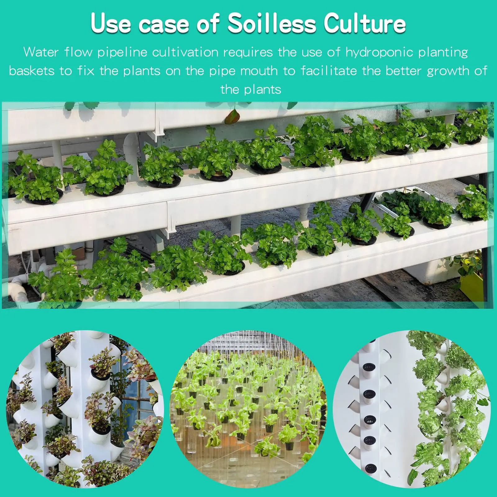 10PCS 3 Inch Hydroponics Cups  - Net Pot 3 Inch ulasan dan harga